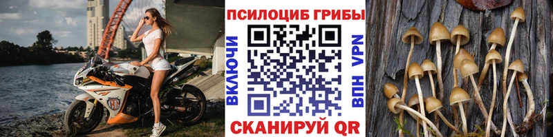 Псилоцибиновые грибы Psilocybe  наркота  Артём 